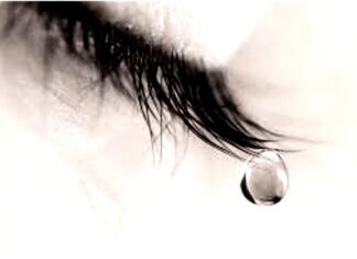 Олга Томовић: Суза за будале