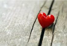 Тамо где је љубав, увек су и богатство и срећа