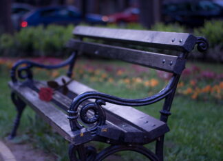 Ратко Петровић: Немој умети да волиш