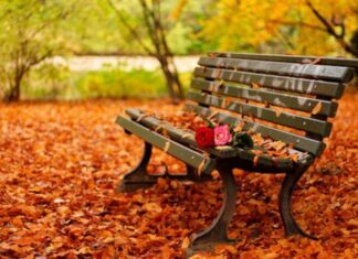 Стеван Стефановић: Патетична песма