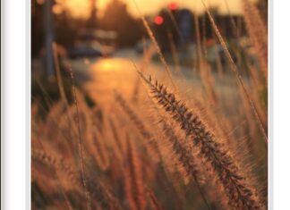 Бертолд Брехт: РОЂЕНИМА ПОСЛЕ НАС