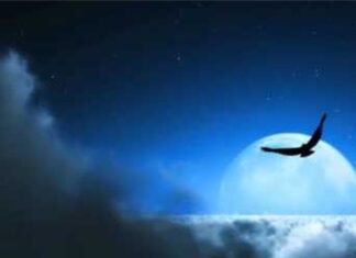 Ратко Петровић: ВОЉЕНИ НЕМАЈУ ВРЕМЕНА ЗА ТО