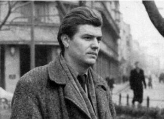 Стеван Раичковић – У МОЈОЈ ГЛАВИ СТАНУЈЕШ