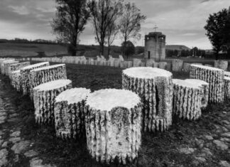 Стрељање у Kраљеву у октобру 1941. године: „Начин извршења смртне казне мора још појачати застрашујући ефекат“