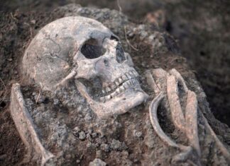 Шта су показали остаци скелета – од којих болести се боловало у Србији у средњем веку?