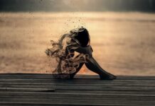 Олга Томовић: Ордење од меса