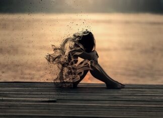 Олга Томовић: Ордење од меса