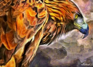 Лабуд Н. Лончар: Одлазе соколови