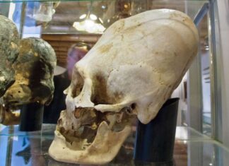 Због чега су древни становници Земље намерно деформисали своје лобање?