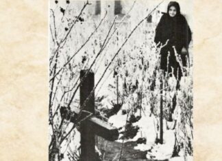 БОЛ ЈЕЛKЕ ЈОВАНДИЋ ЗА ПЕТОРИЦОМ СИНОВА: Kако је породица једне жене у новосадској рацији у једном дану завијена у црно