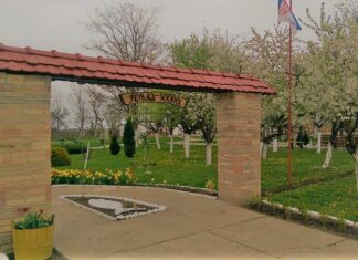 „ЗЕМЉА ЖИВИХ“ – СВЕДОЧЕЊА ШТИЋЕНИКА – ОГЊЕН