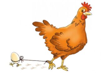 Др Зоран Миливојевић: Синдром празног гнезда