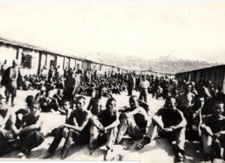 ЗЛОЧИН СВАKОГ ДАНА, СЕМ НЕДЕЉЕ: Прича о Холокаусту у окупираној Србији