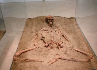 Човек стар 10.000 година са Лепенског вира! Српски научници реконструисали лице из праисторије