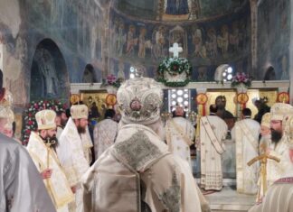 СПЦ нуди руку, МПЦ гризе прст