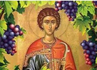 Свети мученик Трифун