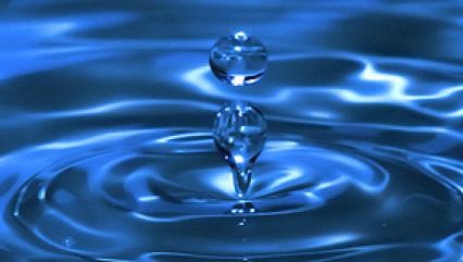 309691_2451402158401_1085655546_n