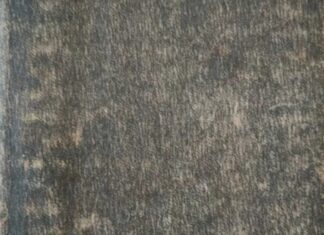 Норвешки барон ослобађао Србију