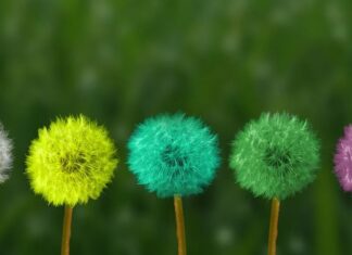 Др Зоран Миливојевић: Страх од промене