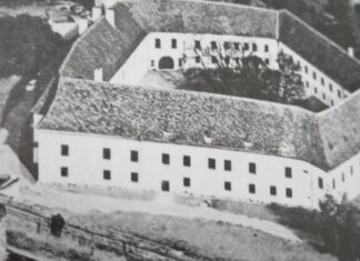 ОД СМРТИ ОТРГАО 2.812 ДЕЦЕ: Дело Владике Иринеја Ћирића – спасавање српских малишана из Шарвара у Мађарској, готово заборављено