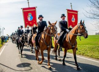 Домовина, језик и култура Лужичких Срба (Први део)