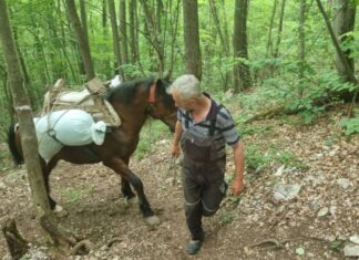 Kоњи породице Милосављевић на леђима носе грађевински материјал за изградњу цркве!