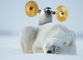 Не можемо бити кукавице