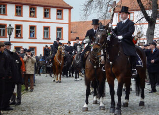 Домовина, језик и култура Лужичких Срба (Трећи део)