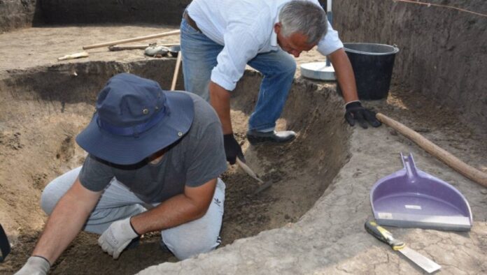 240088_viber-image-2022-06-22-15-56-33-963_f (1)