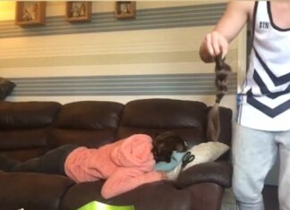 Сулуде ствари које су људи урадили зарад славе на интернету