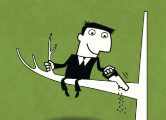 Глупост се прерушава