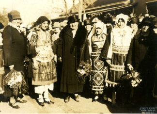 Саша Недељковић: ДРУШТВО “КЊЕГИЊА ЗОРКА”