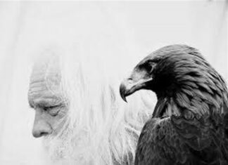 Др Зоран Миливојевић: Тренирање мудрости