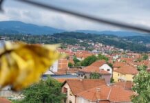 Вера Симовић: КРОВОВИ