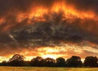 Универзални недостатак здравог разума