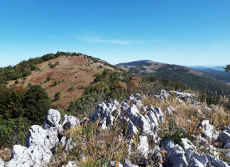 Отац Варнава – дошао у запустели средњовековни манастир Попшицу са магаретом и 50 евра