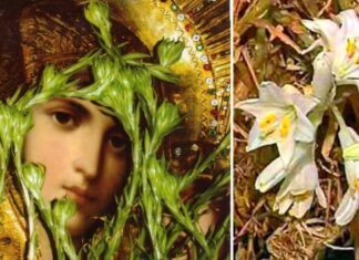 Kако су оживели осушени кринови на икони Пресвете Богородице Kазанске