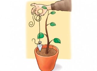 Др Зоран Миливојевић: Психолошки диктатори