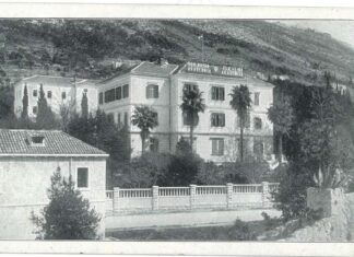 Саша Недељковић: Дубровник двадесетих година 20 века