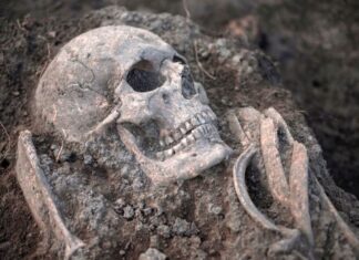 Од којих болести се боловало у Србији у средњем веку?