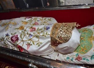 Топле руке Свете Петке