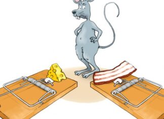 Др Зоран Миливојевић: Неодлучност