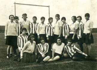 Саша Недељковић: СОКОЛИ И ХАЗЕНА