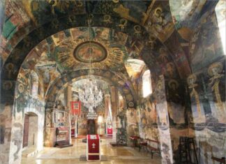 Дејан Перишић: ЗАВИЧАЈНЕ ЦРТИЦЕ