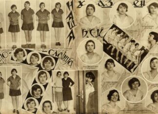 Саша Недељковић: СОКОЛСКИ РАД У ШИРЕЊУ ХАЗЕНЕ