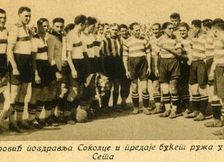 Саша Недељковић: РЕЧ О ФУДБАЛСКОМ КЛУБУ СОКО 1903-1933.