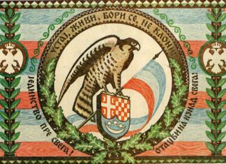 Саша Недељковић: Разлике између Сокола и Орјуне