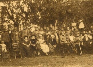 Саша Недељковић: СОКОЛИ И ВОЈСКА