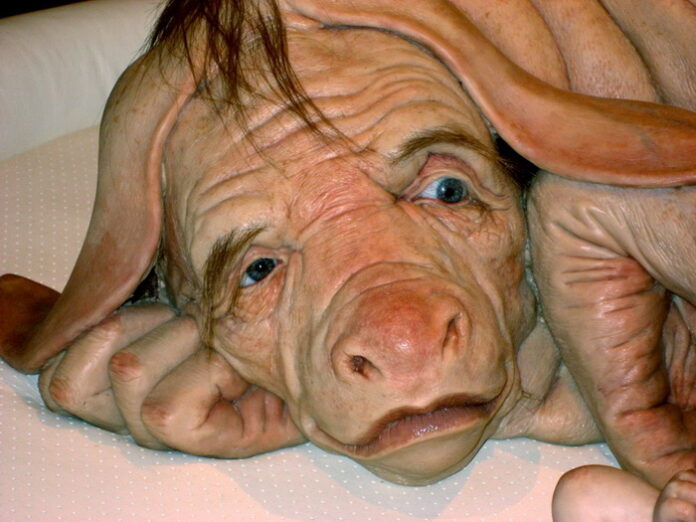 dshfgrekuzfgvhbfxrdsnj