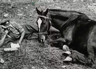 Српски ратни коњ – АЦУЛА